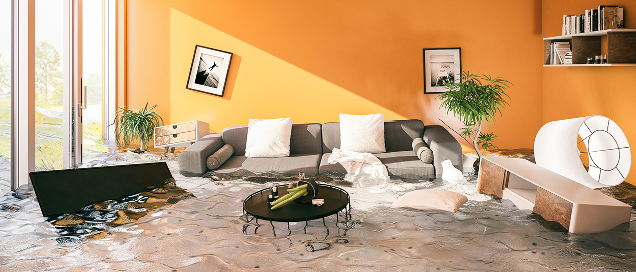  steamaid water damage restoration